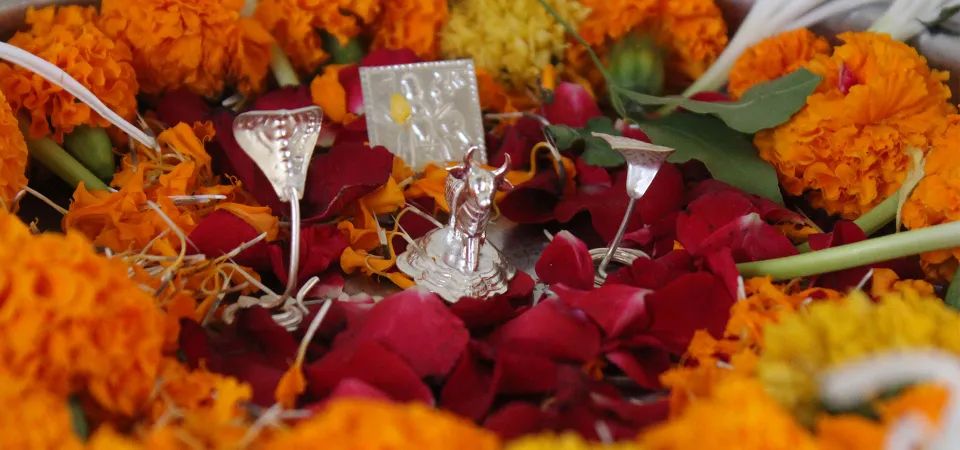 https://trimbakeshwarmandirpooja.com/wp-content/uploads/2024/06/kalsarp-puja.webp